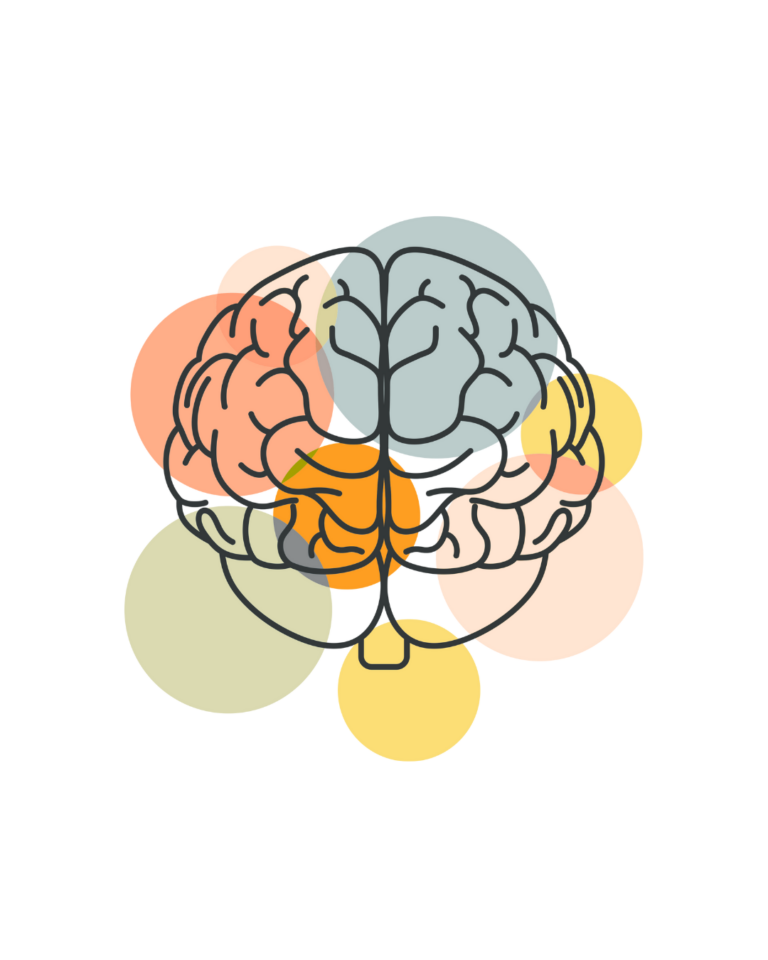 cerebro psicologia